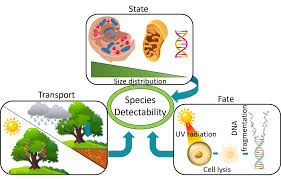 The ecology of aboveground terrestrial eDNA: Its state, transport, and fate 