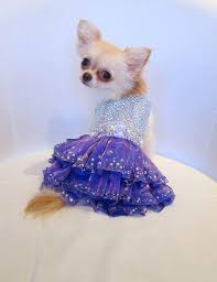 Sparkling Mystic Swarovski Crystal Couture Dog Dress By Kocouture Celebrity Pet Luxury Bling Cute Girl Dog Clothes Dog Clothes Dog Dresses