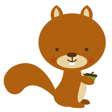 Floresta E Safari 3 Squirrel Png Minus Animal Faces Kitty Hello Kitty