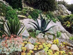 Cela est souvent précisé aujourd'hui sur l'étiquette qui accompagne les végétaux. Jardin Sur La Roche Jardins Secs
