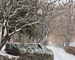  Якою буде завтра погода у Кременчуці? 29 грудня буде хмарно☁. Сніг❄,  на дорогах місцями ожеледиця❗.  Вітер: північно-західний↘, 7-12 м/с.   Температура: протягом доби 1-6º морозу.