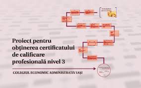 Realizarea potențialului economic și implementarea unei idei de afaceri în practică depind în mare măsură de posibilitățile financiare. Finantarea Intreprinderii Prin Surse Proprii By Irina Ioana Nistor