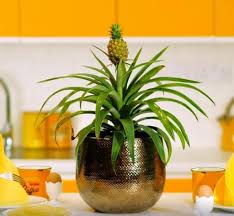 Epingle Sur Deco Interieur G