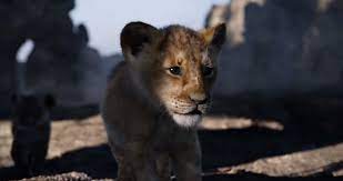 Putlocker Free Watch The Lion King 2019 Online Full Movie And Hd Simba Rei Leao Rei Leao Fotos De Leao