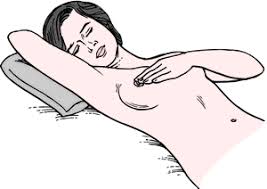 Breast cancer accounts for 16% of all female. Breast Cancer Definition Of Breast Cancer By Medical Dictionary