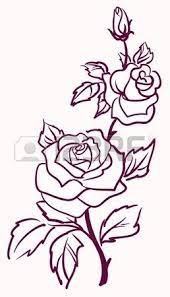Three Stylized Pale Roses Isolated On Light Background Vector Drawings Rose Outline Tattoo Rose Outline