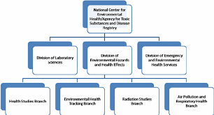 Organization Chart Of The National Center For Environmental
