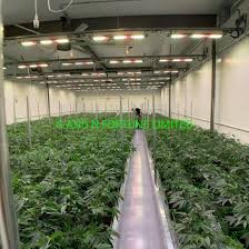 We did not find results for: China Hydroponic Led Grow Lights For Indoor Growing Systems China Hydroponic Grow Light Growing Light