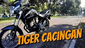Download mp3 tiger herex dan video mp4 gratis. Review Tiger Herex Part 2 Youtube
