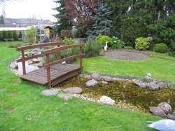 Der naturnahe gartenstil beherbergt neben flatternden schmetterlingen auf der blumenwiese und quakenden fröschen im gartenteich auch jede menge heimische pflanzenarten. Umgestaltung Park Garten
