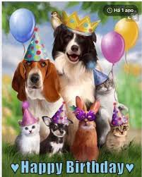 Cani corgis cantano buon compleanno. Pin Di Sabine Huppertz Su Dogs Cats Buon Compleanno Auguri Di Buon Compleanno Auguri Di Compleanno