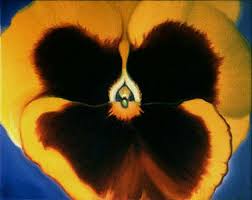 Georgia O Keeffe Flowers Google Search Georgia O Keefe Art Georgia O Keeffe O Keeffe Paintings