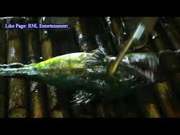 Action crime thriller // krack 2021 hindi dubbed south indian movie 🔥#moviehacker#allmoviehacker#crimethrillermovie#actionmoviemoviename : Download Monster Giant Fish Attack 2020 Full Movie 3gp Mp4 Codedwap