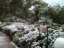 איתן פוקס מפלה על רקע פוליטי. Facebook