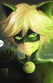 Cat Noir X Male Reader Lemon