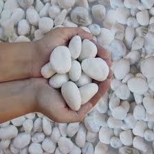 Eleattrun glow in the dark rocks, 400pcs glow rocks, grow in the dark pebbles luminous stones, garden pebbles rocks for outdoor decor, garden lawn yard, walkway, fish tank, pathway (blue & green) 1.5 out of 5 stars 2. Mat Snow White Garden Pebbles For Sale Cobble Stone 5 Kg Pack Buy Online At Best Prices In Pakistan Daraz Pk
