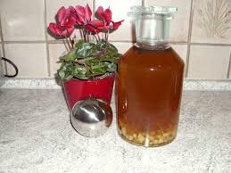 Ingwerlikor Ingwerschnaps Rezept Mit Bild Rezept Schnaps Schnaps Rezepte Ingwer Likor Selber Machen