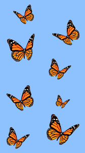 Your best monarch butterfly information resource. Aesthetic Iphone Wallpaper Blue Butterfly Wallpaper Butterfly Wallpaper Iphone Butterfly Wallpaper