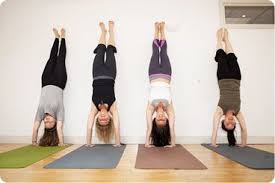 Filter by type of yoga, view class times, read reviews, + more. Pin On Entertainment