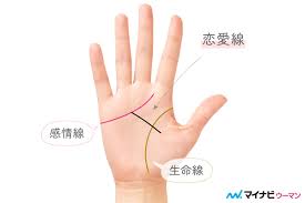 マイナビウーマン