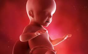 Eliza curby, o mamica in varsta de 27. SÄptÄmana 26 De SarcinÄ MÄmici Club