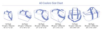 ao coolers review are these soft coolers rough and ready