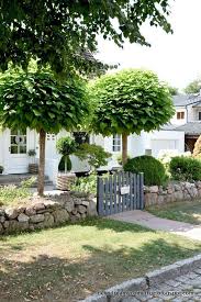 Garten Impressionen Eingang Dreams Come True Bloglovin Bepflanzung Pflanzen Baum Blumen Sichtschutz Garten Dream Garden Backyard Landscaping Garden