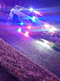 Winterfest Parade 2024