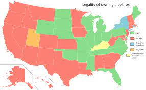 Legality Of Owning A Pet Fox By Us State Vivid Maps Pet Fox Map Pets
