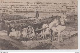 Cpa Precurseur Plouescat La Greve De Fronden Tres Belle Animation En Vente Sur Delcampe Carte Postale Finistere Postale