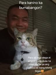 Sila ang akimg inspirasyon sa ataw araw na pagbangon🐈😸😹😻🥰
