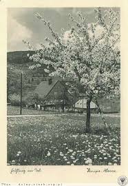 Hallmannhaus Schreiberhau Hallmann Ahnenforschung Schlesien Schlesien Riesengebirge Spindlermuhle