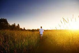 The chosen man of the cancer man should inspire him, otherwise he will never get out of his shell. Cancer Man Acting Distant 17 Possible Reasons For It Her Norm