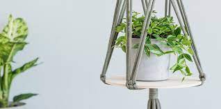 What i also love about this idea is the stunning variety of ways in which you can make this look your own. 18 Best Indoor Hanging Plants Real Hanging Plant Ideas For Low Light Conditions