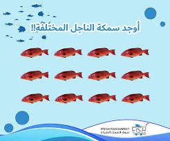 Fresh Fish Market Freshfishmarke3 Twitter