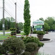 We, columbus builders supply, are looking for a driver with their class a or b license to start immediately. Reynoldsburg Strader S Garden Centers