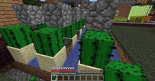 Giant cactus auto farm minecraft project. How To Make An Automatic Cactus Farm