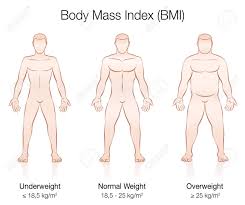 body mass index bmi underweight normal weight and overweight