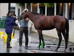 The derby will be held at churchill downs in louisville, kentucky. Outside Draw For Tiz The Law In Kentucky Derby Sports Jamaica Gleaner