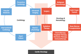 The name's etymological origin is the greek word ὄγκος (óngkos), meaning 1. Cardio Oncology Education And Training Jacc Council Perspectives Journal Of The American College Of Cardiology