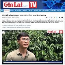 Hợp tác xã nông nghiệp và dịch vụ Lam Anh -