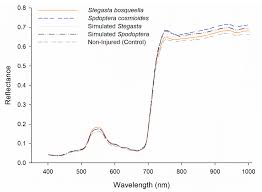 Entomology and pest management, sixth edition (or later edition). Remote Sensing Free Full Text Detection Of Defoliation Injury In Peanut With Hyperspectral Proximal Remote Sensing Html