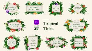 These motion graphics templates mean it's. 246 Wedding Video Templates Compatible With Adobe Premiere Pro