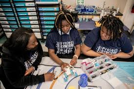 Image result for Olinia chimanimani