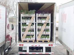 How to ship plants when moving. Eco Friendly Greenhouse Racks For Your Operation Greenhouse Grower