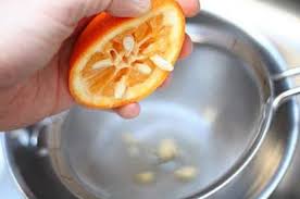 Orange trees are evergreen and frost tender, and, depending on the cultivar, they can grow like a large shrub or tree, reaching up to 22 feet tall. Orange Tree Citrus Growing Tips How To Grow Orange Care For An Orange Tree At Home