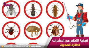كيفية التخلص من الحشرات الطائرة الصغيرة flying insects dammam insects