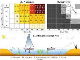 Studying for the florida pesticide applicator's license just got easier! Classifying Nuisance Submerged Vegetation Depending On Ecosystem Services Springerlink