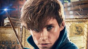 See more ideas about scamander, newt scamander fan art, newt scamander. Newt Scamander Wallpapers Wallpaper Cave
