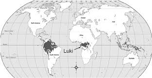 Image result for Thomandersia congolana